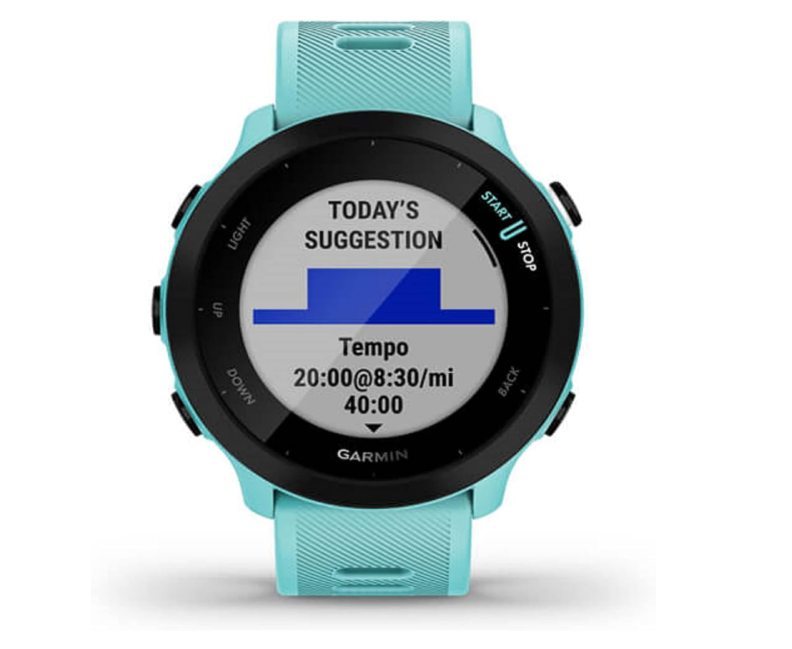 forerunner 55